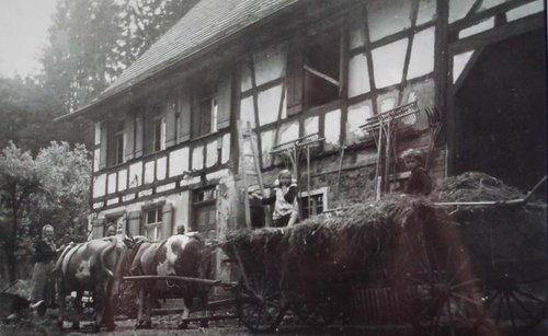 Kinder bei der täglichen Arbeit auf dem Hof.